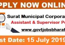 Surat Municipal Corporation Recruitment 2019 – Apply Online Assistant & Supervisor Posts