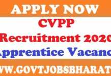 CVPP Recruitment 2020, Apply 10 Apprentice Posts CVPP Recruitment 2020